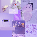 lies-in-lilac avatar
