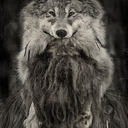 lieutenantlevity avatar