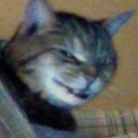 lifeisnotdaijoubu-50-blog avatar