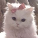 lifelover4life avatar