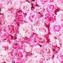 lifeofanidiot avatar