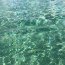 lifesashith0le avatar