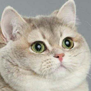 liftingmyownsoul-blog avatar