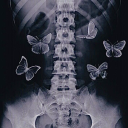 ligerocomounapluma avatar