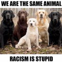 lighterndarker avatar