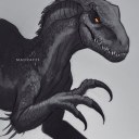 lightning-wyvern avatar