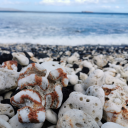 lightningdays23 avatar