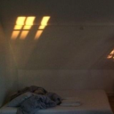 lightsonmywalls avatar