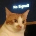 lightupheelies avatar