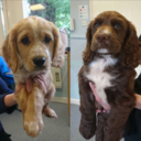 like-a-ghost-ill-be-gone avatar