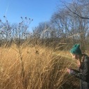 like-a-telescope avatar