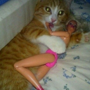 likeofyourlife avatar