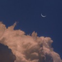 lilac-asexual avatar