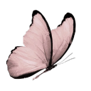 lilacandgoooseberries avatar