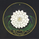 lilahsummer-blog avatar