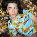 lilchalamet avatar