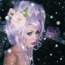 liliesdieroses avatar