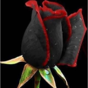 lilmonster888 avatar