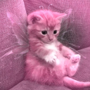 lily-livered-wretch avatar