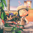 lilyofzavalley avatar