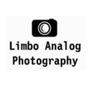 limboanalog avatar