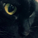 limoneamezzanotte avatar