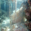 lindusiksimpapusik avatar