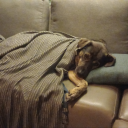 linkeduniverselover123 avatar