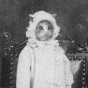 liolaemustenuisareunderrated avatar