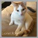 lionelrory avatar