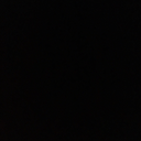 lisandraillustrated avatar