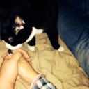 lisaskleinewelt avatar