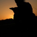 lisasxphotography avatar