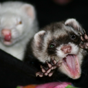 listen2urheart avatar