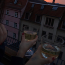 literally-died avatar