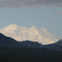 little-bit-more-like-bukowski avatar