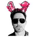 little-bit-of-downey avatar