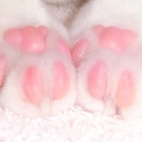 little-kitty-jellybeans-blog avatar