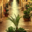 little-rocknrolla avatar