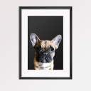 littlebigshortie avatar