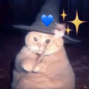 littlebitofbluelittlebitofcoffee avatar