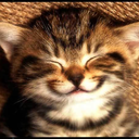 littlecheeckysparrow avatar