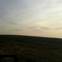 littlecumdrop avatar