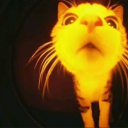 littleflyingbitch avatar