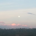 littlegirlfriend06 avatar