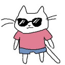 littlegraycats avatar