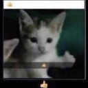 littlekittyman avatar