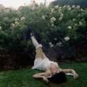 littlelittlebear avatar