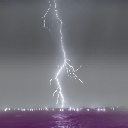 littlelostlee avatar