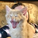 littleonionsprout avatar